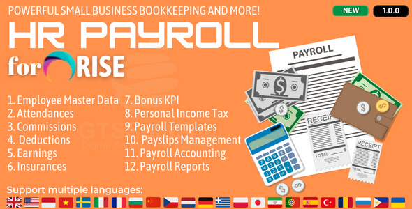 HR Payroll plugin for RISE CRM